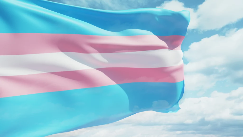 transgender vlag
